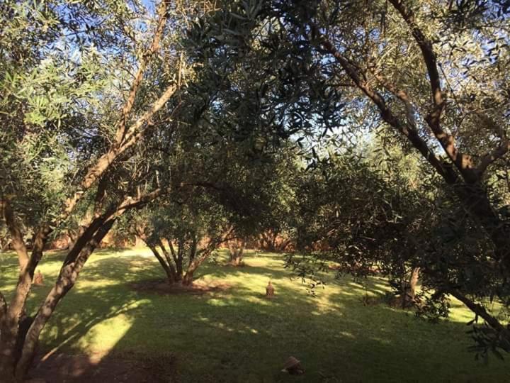 Riad Sidi Hicham Ouled Bouzid Екстериор снимка